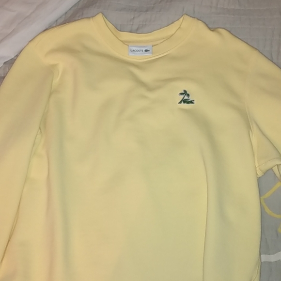 Limited Edition Lacoste Sweater